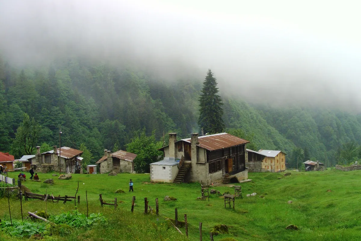 Wooden houses and forested slopes at Ayder Highland
